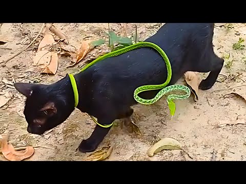 Random Oh Random 😭 Part 6