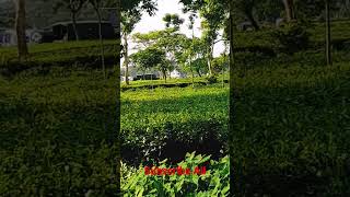 Download lagu Helipad 21 January 2023 //#roypujanofficial //#short mp3
