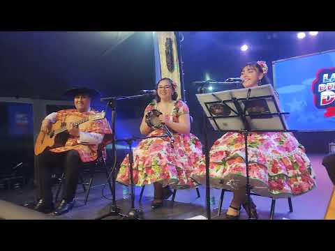 Alerzal de los Ríos en Lago Ranco 