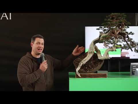 The Trophy 2021 -  Repotting strategy by Ryan Neil