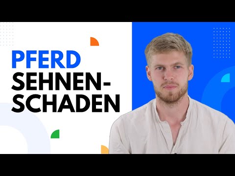 Pferd Sehnenschaden: Ursachen Symptome Behandlung | Sehne Pferd Vorderbein | Sehnenverletzung Pferd