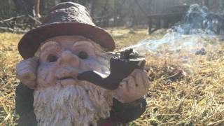 COLE HEAT - The Cyrus