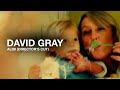 DAVID GRAY - Alibi (Official Music Video - Director's Cut)