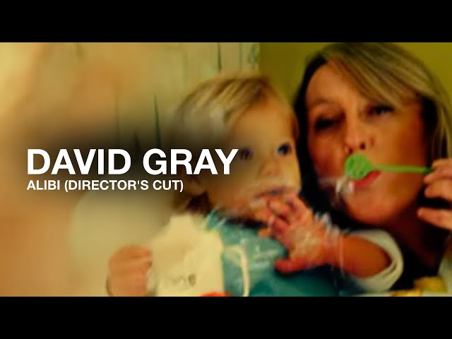  Alibi - David Gray