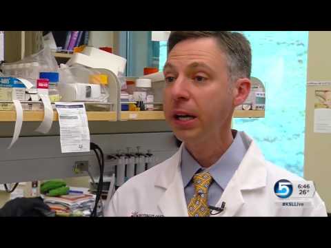 Researchers say they may have the key to fight cancer in elephants