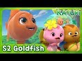 Katuri S2 Goldfish In The Forest S2 EP30