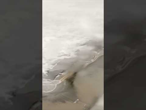Traffic cam shows road erosion along Outer Banks