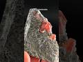 Crystals vs. How Much They Cost 🤑 #crystals #gems #minerals #interesting