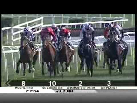 22/03/2012, Pisa , Premio Alap