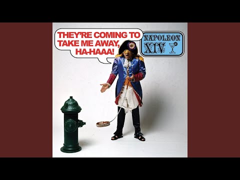 I Live in a Split Level Head