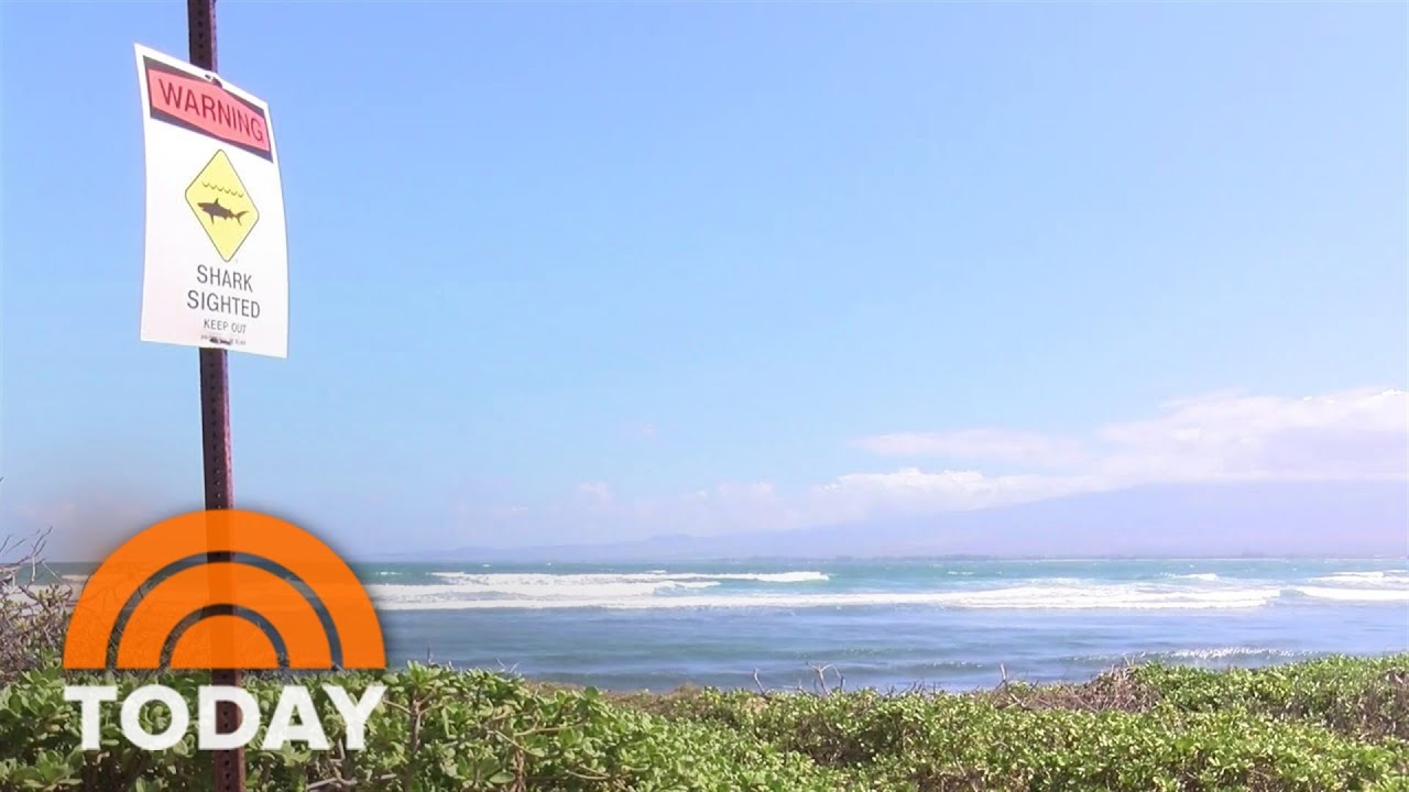 Hawaii surfer loses part of leg in shark attack