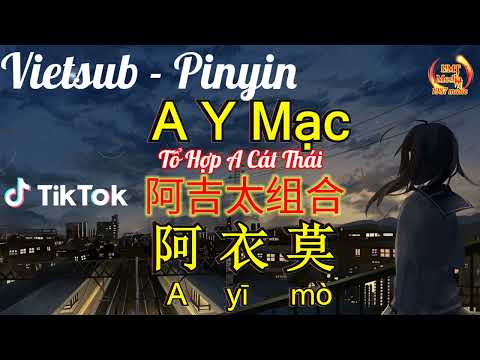 [Vietsub + Pinyin] A Y Mạc - Tổ Hợp A Cát Thái | 阿衣莫 - 阿吉太组合 | Nhạc Hoa Hot Douyin Tiktok 2022