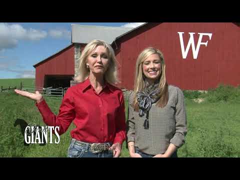 image-What is Windamere Horse Haven?
