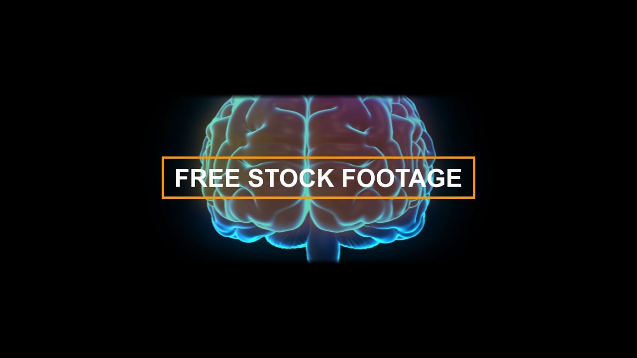 Human Brain Parts Highlight Animation