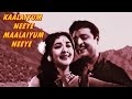 KAALAIYUM NEEYE THEN NILAVU LYRICS