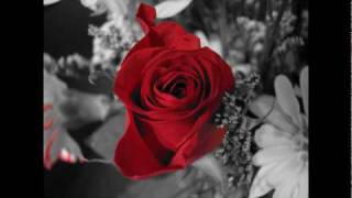 LOS TUCANES DE TIJUANA - NOCHE BUENA