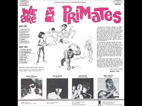 The Primates - Just My Kind