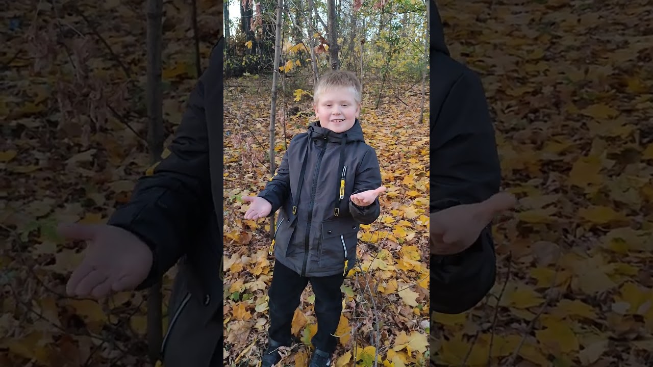 Б.Пастернак - Золотая осень