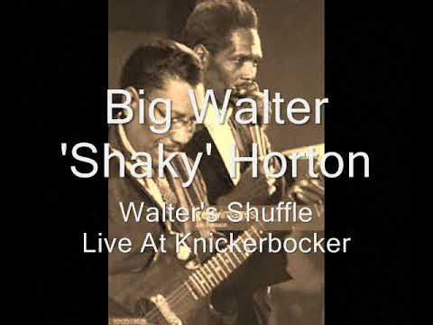 Big Walter Horton-Walter's Shuffle (Live At Knickerbocker)