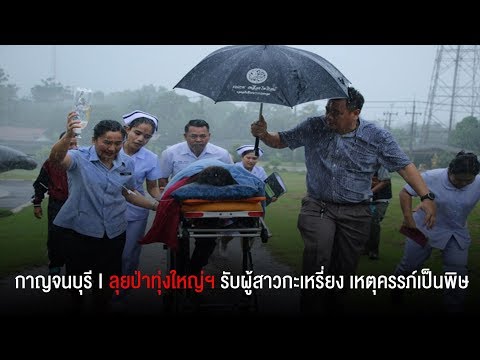 คลิกเพื่อดูคลิปวิดีโอ