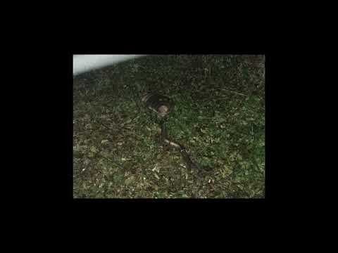 YNGENYR - VEJFUK ZASE PRYČ