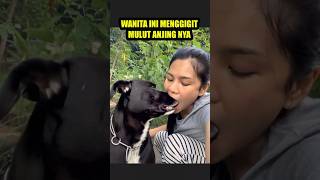 Download lagu Lucu Banget lihat Wanita ini Ketika Bermain Sama anjing nya mp3