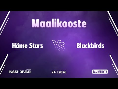 Maalikooste: Häme Stars - Blackbirds (Inssi-Divari N)