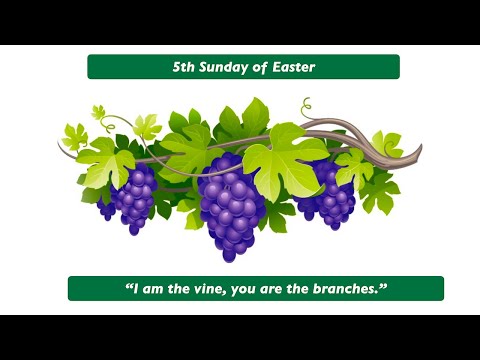 I am the vine; you are the branches