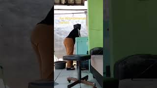 Download lagu VIRAL!!! MAMAH DARA LIVE TIKTOK SEDANG CHALLENGE || PAN AT GEDE BANGET mp3