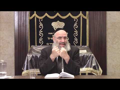 Tanya: The Holy Epistle (Iggeret HaKodesh): Epistle 26 - Part 2: Rabbi Krasnianski.