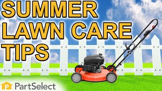 Lawn and Garden: Summer Lawn Care Tips
