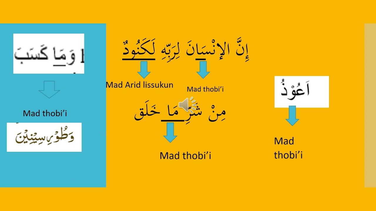 PPT BTQ MAD THOBI'I pptx