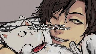 Download lagu Mi-Chan - 黒ネコのタンゴKuroneko No Tango (Türkçe Çeviri) mp3