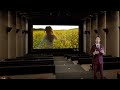 LG LED Product Presentation LED Cinema