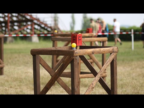 Dostihový areál v Mimoni pravidelně pořádá závody ve spřežení