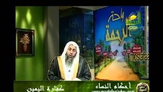 صورة احكام النساء 8  كفارة اليمين للشيخ مصطفى العدوي