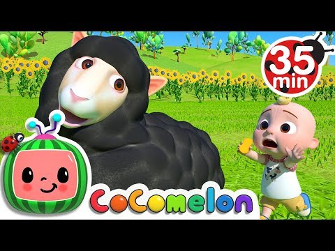 Baa Baa Black Sheep + More Nursery Rhymes & Kids Songs - CoComelon