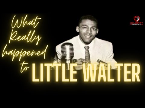 What happened to Little Walter?  (Cadillac Records Movie)