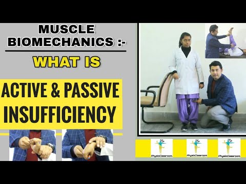 MUSKELBIOMECHANIK: WAS IST AKTIVE UND PASSIVE INSUFFIZIENZ?
