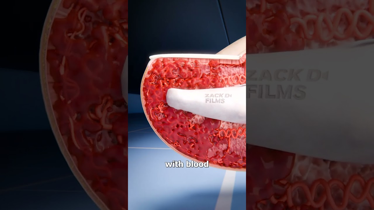 Why Stubbing Your Toe Is Painful 😖