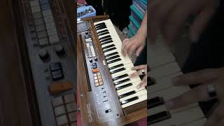 Video thumbnail for CASIOTONE 401 en su máxima expresión by EL PROFE TECLA (CARLOSTECLA)