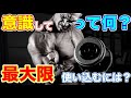 筋肉を意識して!ってどうすればいいの?【筋トレ】