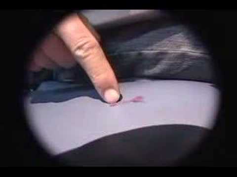 Queer Eye for the Airline