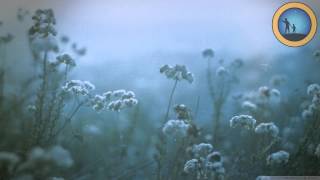 Onderwish - Polaroid Memory