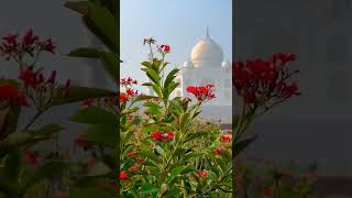 Download lagu https://www.instagram.com/reels/audio/671551491056495/ mp3