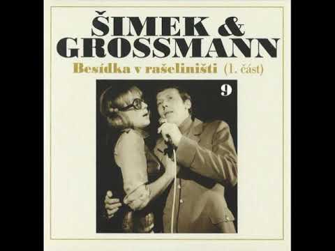 Jiří Grossmann - Stařec a hlas kytar (23.12.1968)