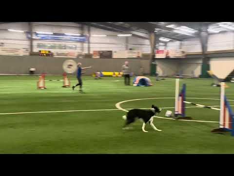 CAANS trial October 2025 Jaydee 