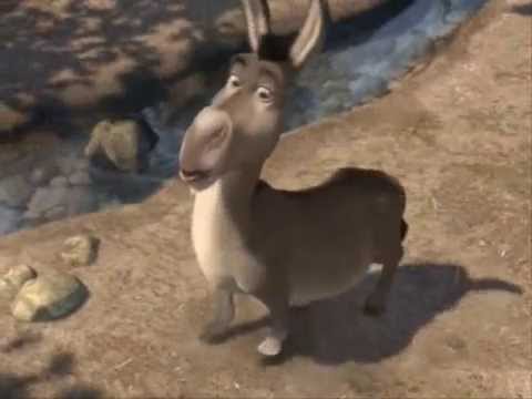 Jestem taki sam... Jak palec albo coś tam