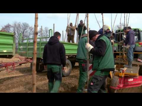 download lagu mp3 mp4 Baumteil, download mp3 Baumteil free download, download mp3 Baumteil