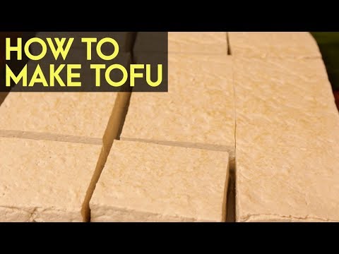 Tokwa Making in the Philippines: How to Make Premium Tofu - Semi Commercial Production